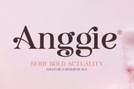 Anggie Display Font