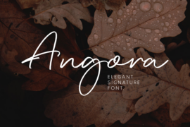 Angora Font