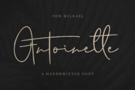 Antoinette Personal Use Only Font