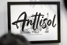 Anttisol Font