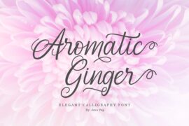Aromatic Ginger Demo Font