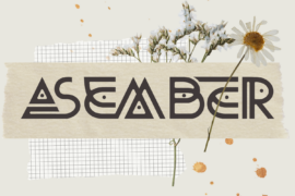 Asember Ligature Demo Font