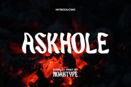 AskholeDemo Font