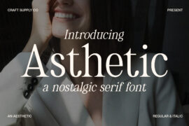 Asthetic Demo Font