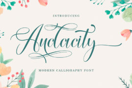 Audacity Script Font