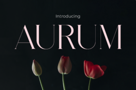 AURUM Font