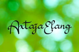 Axtaja Elang Font