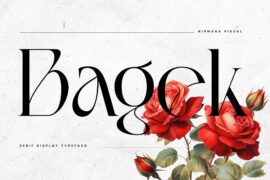 Bagek – Demo Version Font