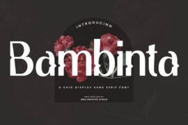 Bambinta Personal Use Font