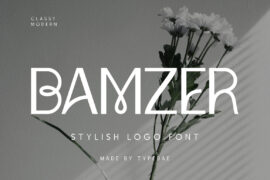 Bamzer Font