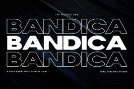 Bandica Personal Use Font