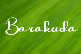 Barakuda Font