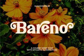 Bareno Font