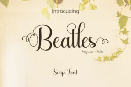 Beatles Font Family