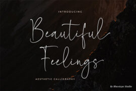 Beautiful Feelings Font