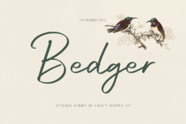Bedger demo Font