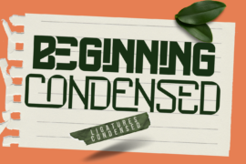 Beginning Condensed Demo Font