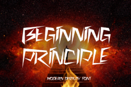 BEGINNING PRINCIPLE DEMO Font