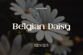 BelgianDaisyDemo Font