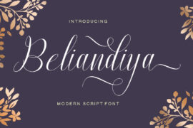 Beliandiya Script Font
