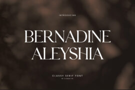 BernadineAleyshia Font
