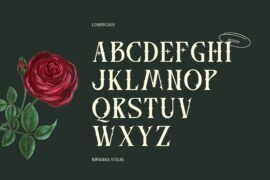 Besxov – Demo Version Font