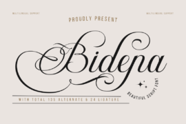Bidena trial Font