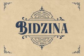 Bidzina Font