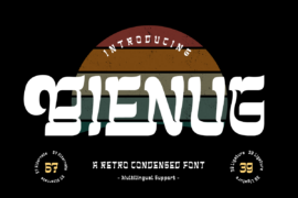 BIENUG Trial Font