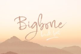 Bigbone Font Family