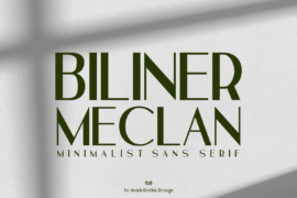 Biliner Meclan Demo Font