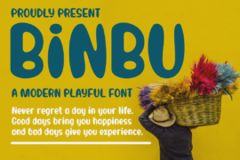 BINBU Font