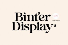 Binter Display Font Font