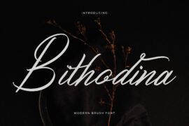 Bithodina DEMO VERSION Font Family
