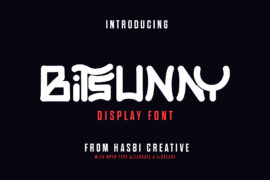 Bitsunny Display Font