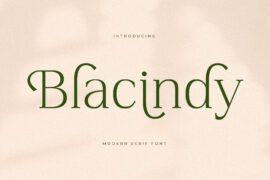 Blacindy DEMO VERSION Font Family