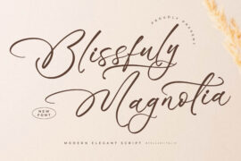 Blissfuly Magnotia DEMO VERSION Font Family