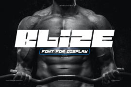 Blize Font