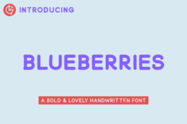 Blueberries Font