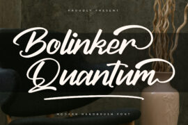 Bolinker Quantum DEMO VERSION Font Family