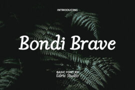 BondiBraveDemo Font