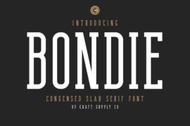 Bondie Slab Free Font