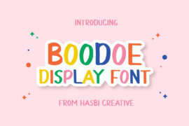 Boodoe Display Font Font