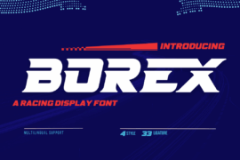 BOREX Font Family