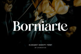 Borniarte Font