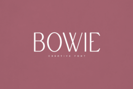 Bowie Font