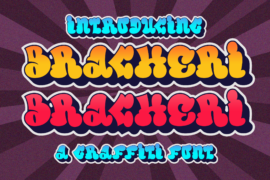 Bracheri Font