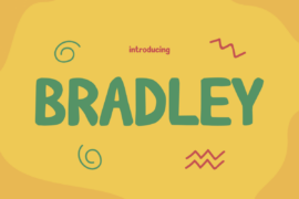 BRADLEY Font