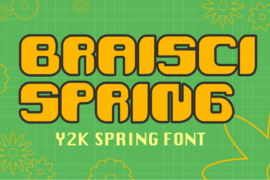 Braisci Spring Font