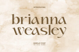 Brianna Weasley Demo Font
